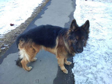 450x338  54 KB. Big one: 4160x3120  2281 KB