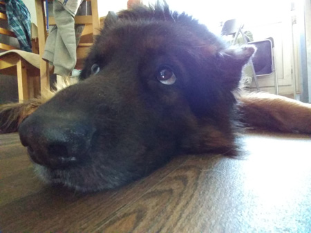 450x338  54 KB. Big one: 2592x1944  469 KB