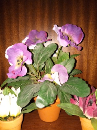 336x448  77 KB. Big one: 3120x4160  4489 KB