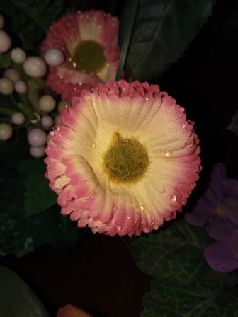 336x448  48 KB. Big one: 3120x4160  2854 KB