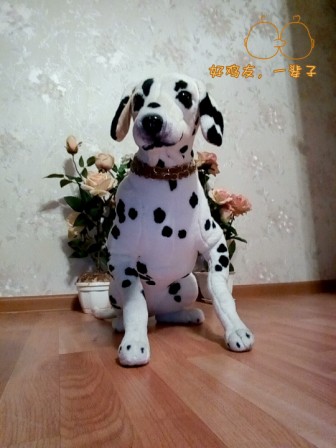 336x448  45 KB. Big one: 1080x1440  342 KB