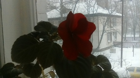 450x253 35 KB. Big one: 1280x720 250 KB