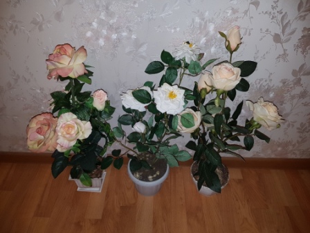 448x336  71 KB. Big one: 4032x3024  4591 KB