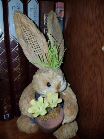 336x448  77 KB. Big one: 3024x4032  5252 KB