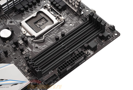 450x306  43 KB. Big one: 1500x1020  396 KB