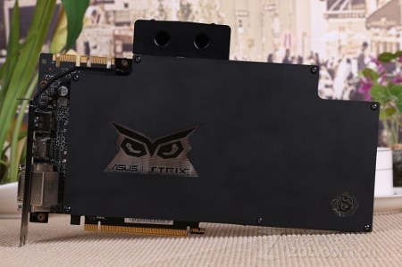 450x299  29 KB. Big one: 500x332  51 KB