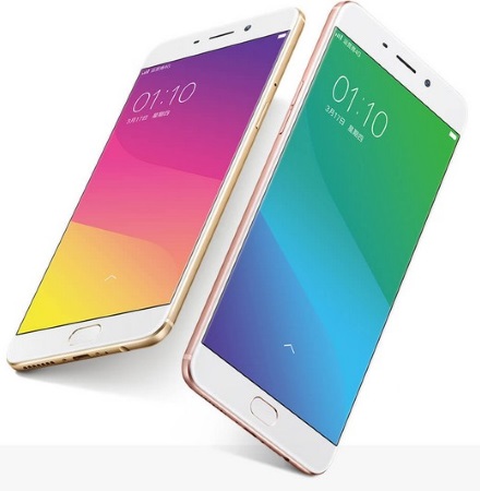 440x450  38 KB. Big one: 640x531  59 KB