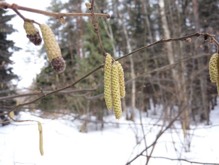 450x338  48 KB. Big one: 4160x3120  1594 KB