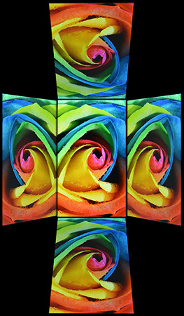 263x450  89 KB. Big one: 877x1500  364 KB