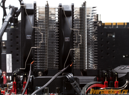 450x329  137 KB. Big one: 1500x1095  384 KB