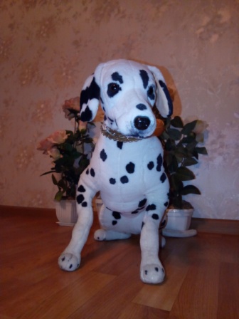 336x448  51 KB. Big one: 1920x2560  958 KB