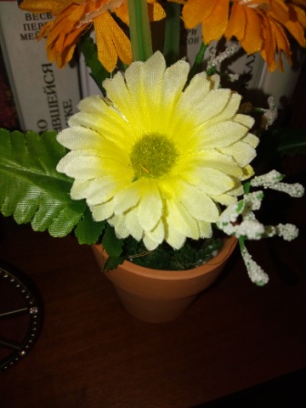 336x448  58 KB. Big one: 3120x4160  3298 KB