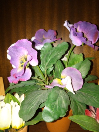 336x448  69 KB. Big one: 3120x4160  3901 KB