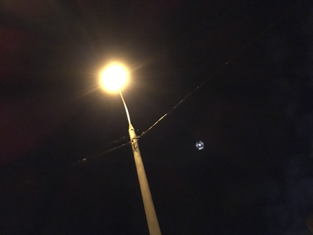 450x338  44 KB. Big one: 4032x3024  2574 KB