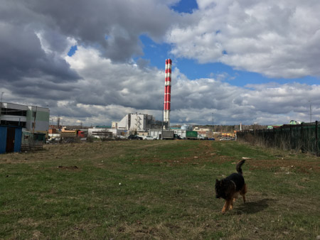 450x338  48 KB. Big one: 4032x3024  3905 KB