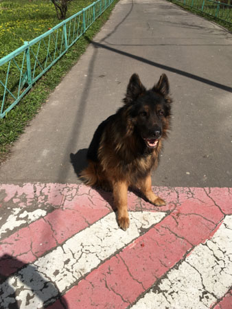 338x450  52 KB. Big one: 3024x4032  4808 KB