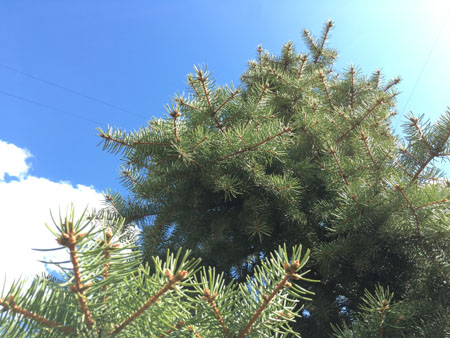 450x338  57 KB. Big one: 4032x3024  4893 KB