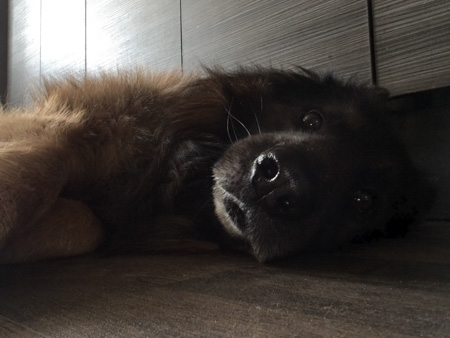 450x338  45 KB. Big one: 1280x960  384 KB