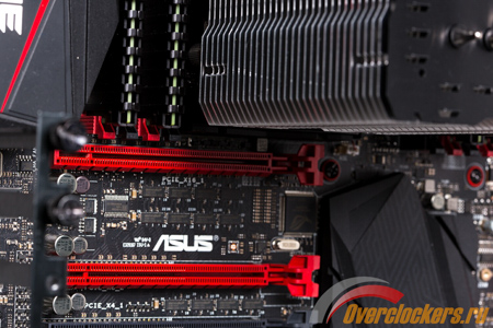 450x300  137 KB. Big one: 1500x1000  337 KB