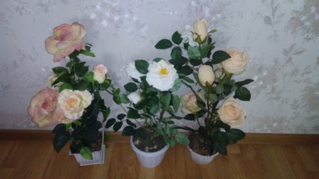 448x252  50 KB. Big one: 4864x2736  3312 KB