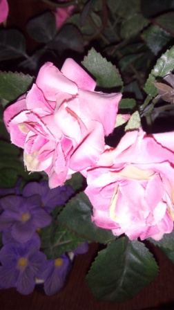 252x448  52 KB. Big one: 2736x4864  3752 KB