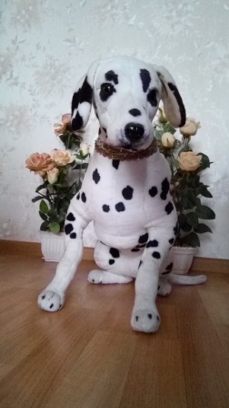 252x448  48 KB. Big one: 1728x3072  1131 KB