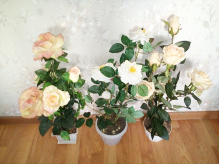 448x336  64 KB. Big one: 4160x3120  4213 KB