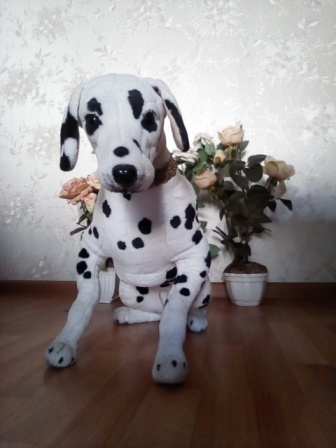 336x448  54 KB. Big one: 1920x2560  1066 KB