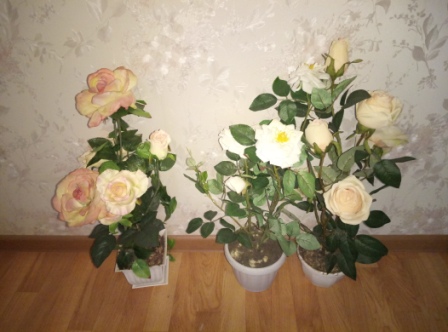 448x332  68 KB. Big one: 4208x3120  3993 KB