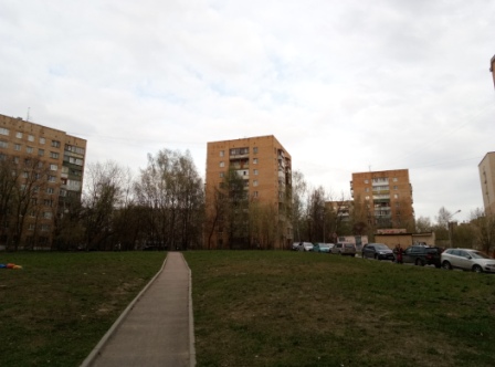 448x332  57 KB. Big one: 4208x3120  3755 KB