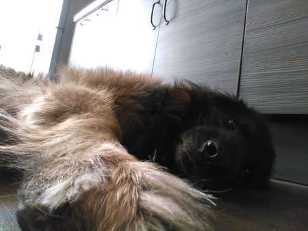 450x338  56 KB. Big one: 1600x1200  421 KB