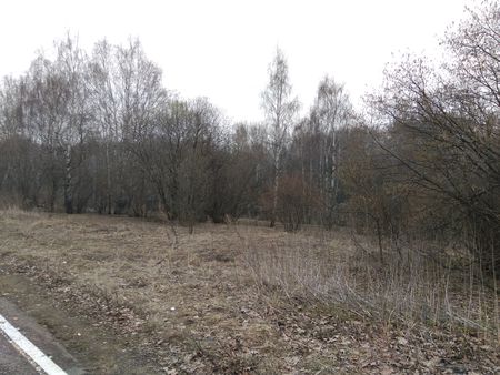 450x338  54 KB. Big one: 4608x3456  8863 KB