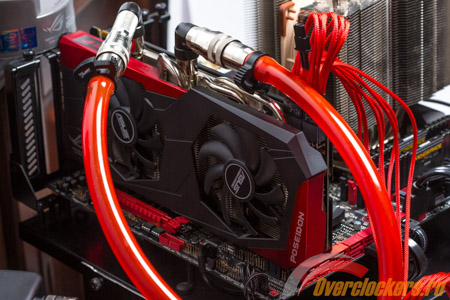 450x300  109 KB. Big one: 1500x1000  369 KB