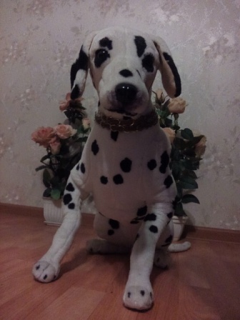 336x448  55 KB. Big one: 1920x2560  1363 KB