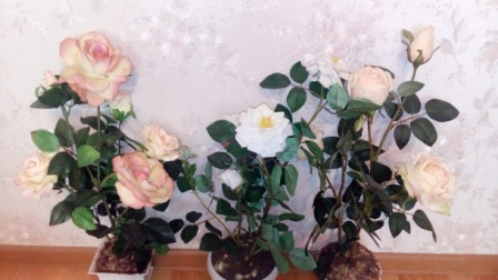 448x252  56 KB. Big one: 4864x2736  3218 KB