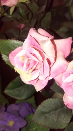 252x448  48 KB. Big one: 2736x4864  3650 KB