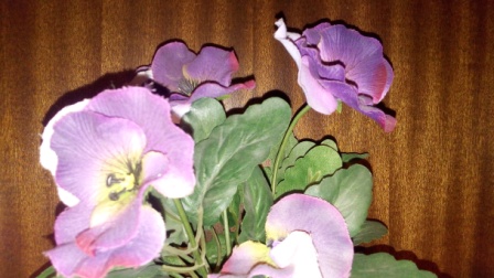 448x252  62 KB. Big one: 4864x2736  4906 KB