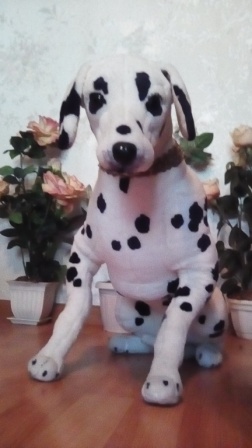 252x448  46 KB. Big one: 1728x3072  1268 KB