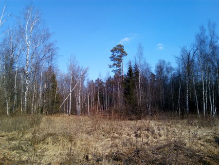 450x338  56 KB. Big one: 4160x3120  5036 KB