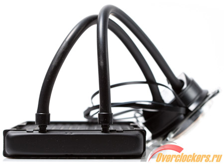 450x329  57 KB. Big one: 1500x1096  167 KB