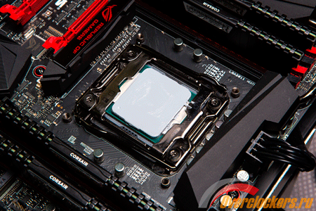 450x300  375 KB. Big one: 1500x1000  3209 KB