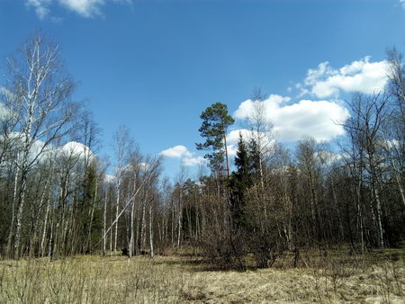 450x338  54 KB. Big one: 4160x3120  6988 KB