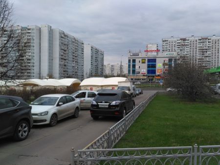 450x338  44 KB. Big one: 4160x3120  1328 KB