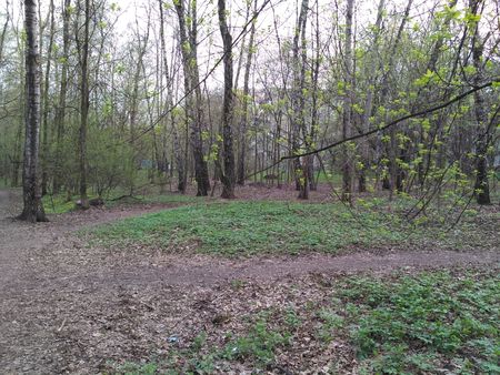 450x338  81 KB. Big one: 4160x3120  4257 KB