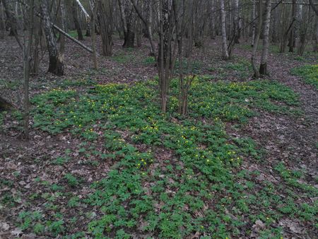 450x338  74 KB. Big one: 4160x3120  3655 KB