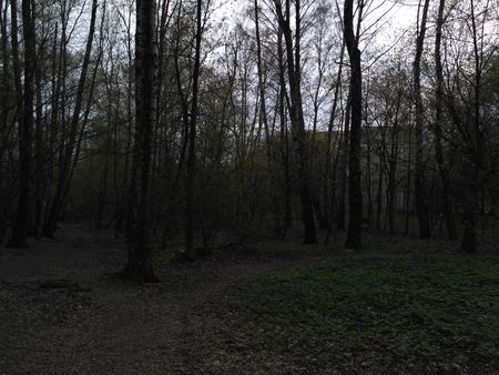 450x338  56 KB. Big one: 4160x3120  3265 KB