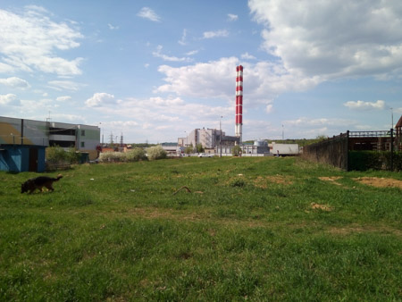 450x338  51 KB. Big one: 4160x3120  2966 KB