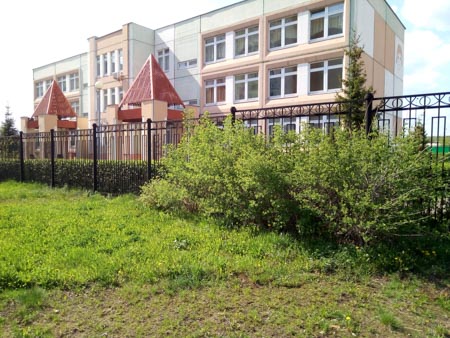 450x338  55 KB. Big one: 4160x3120  4726 KB