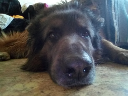 450x338  51 KB. Big one: 2560x1920  714 KB