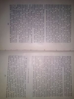 300x399  25 KB. Big one: 3120x4160  2483 KB